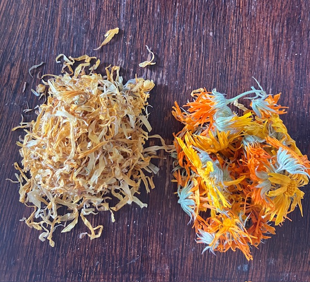 Calendula