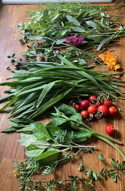 Tray of herbs